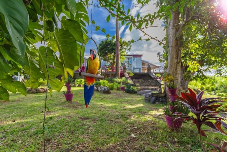 Villa A Ciel Ouvert 17517_jardin 2.jpg